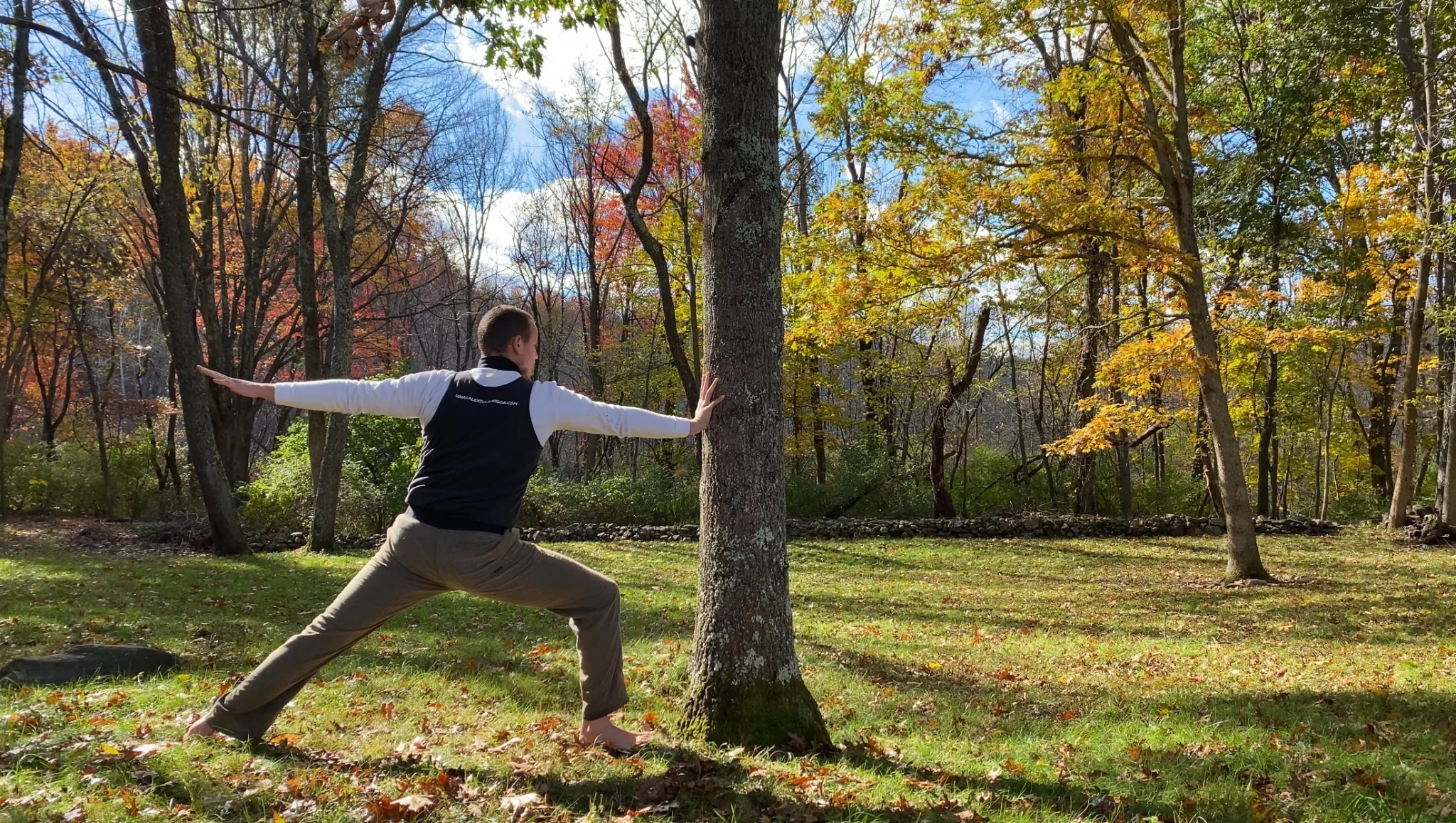 Practicing Warrior II beside a tree, with arms extended and the front knee bent